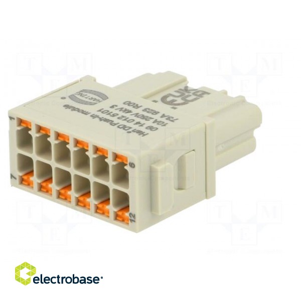 Connector: HDC | module | female | Han-Modular® | PIN: 12 | push-in | 10A image 6