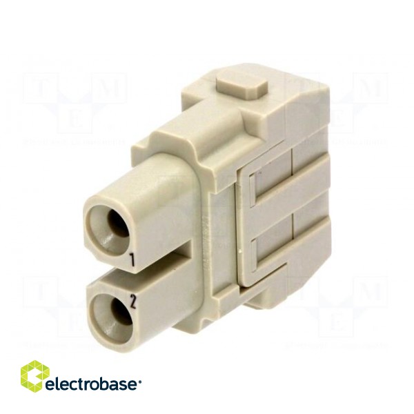Connector: rectangular | module | female | Han Modular 40A | PIN: 2 image 1
