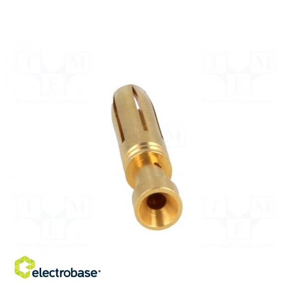 Contact | female | copper alloy | gold-plated | 1.5mm2 | 16AWG | crimped image 5