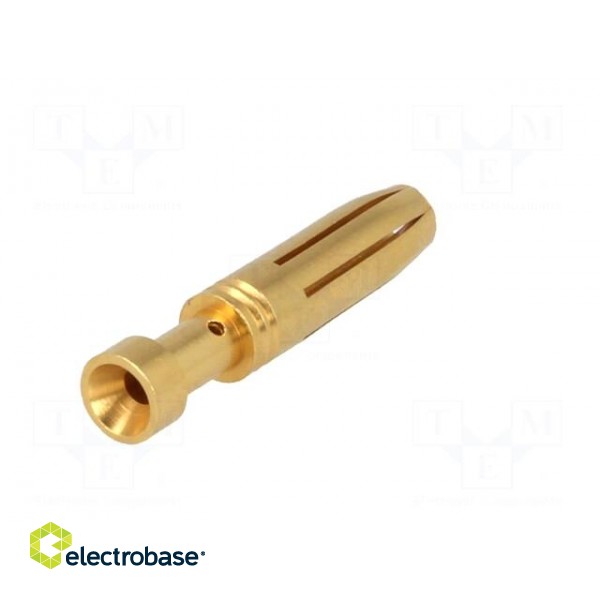Contact | female | copper alloy | gold-plated | 1.5mm2 | 16AWG | crimped image 6