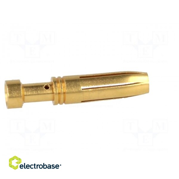 Contact | female | copper alloy | gold-plated | 1.5mm2 | 16AWG | crimped paveikslėlis 7