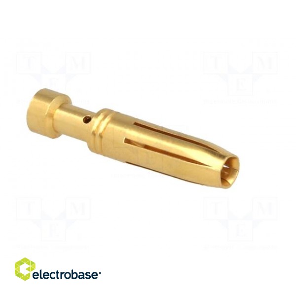 Contact | female | copper alloy | gold-plated | 1.5mm2 | 16AWG | crimped image 8