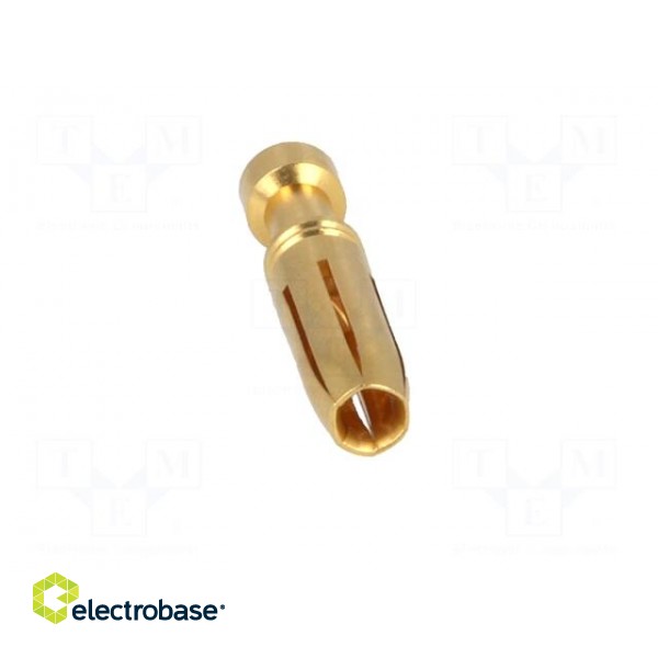 Contact | female | copper alloy | gold-plated | 1.5mm2 | 16AWG | crimped paveikslėlis 9