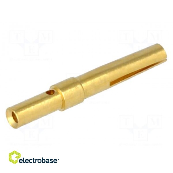 Contact | female | gold-plated | 0.13÷0.33mm2 | 26AWG÷22AWG | crimped