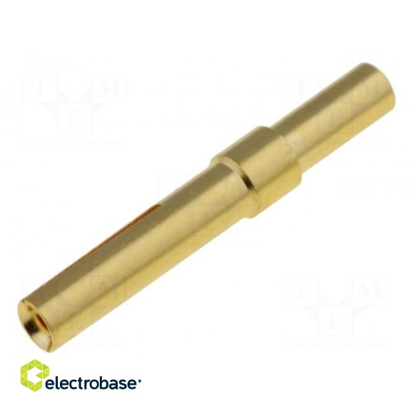 Contact | female | gold-plated | 0.25÷0.52mm2 | 24AWG÷20AWG | crimped