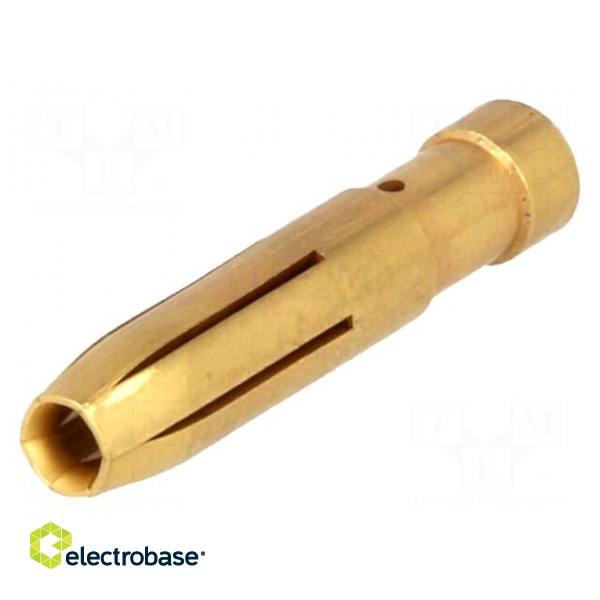 Contact | female | 4mm2 | 12AWG | Han E HMC | gold-plated | crimped | 16A image 1