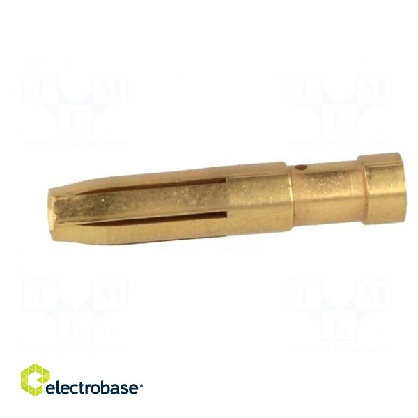 Contact | female | copper alloy | gold-plated | 4mm2 | 12AWG | crimped image 3