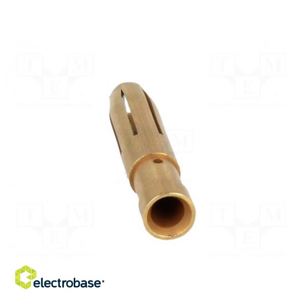 Contact | female | 4mm2 | 12AWG | Han E HMC | gold-plated | crimped | 16A image 5