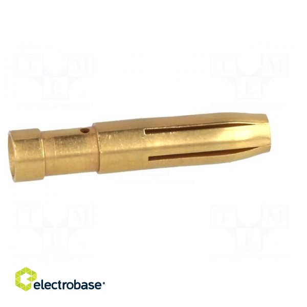 Contact | female | copper alloy | gold-plated | 4mm2 | 12AWG | crimped image 7