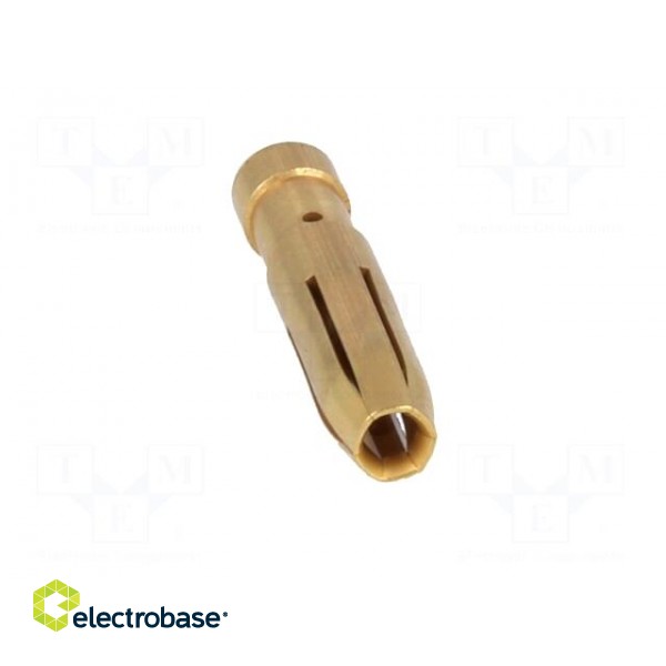 Contact | female | copper alloy | gold-plated | 4mm2 | 12AWG | crimped image 9
