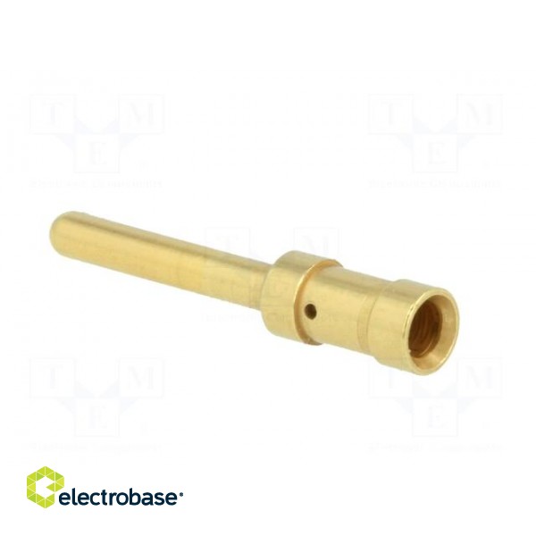 Contact | male | 4mm2 | 12AWG | Han E HMC | gold-plated | crimped | 16A image 4