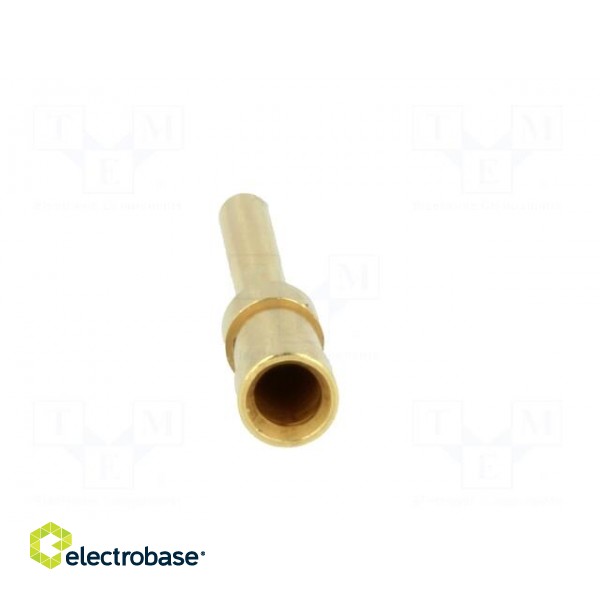 Contact | male | copper alloy | gold-plated | 4mm2 | 12AWG | Han E® HMC image 5