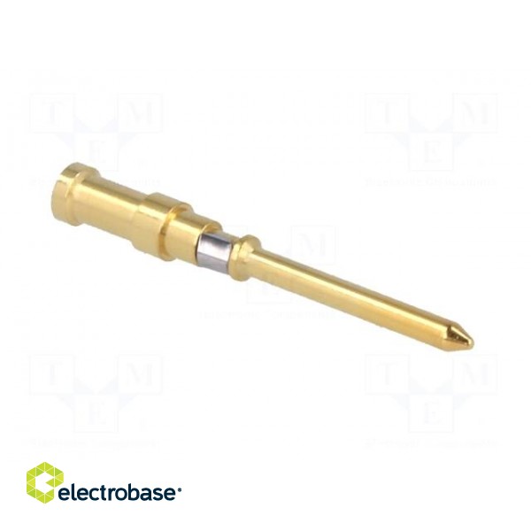 Contact | male | copper alloy | gold-plated | 0.5mm2 | 20AWG | crimped image 8