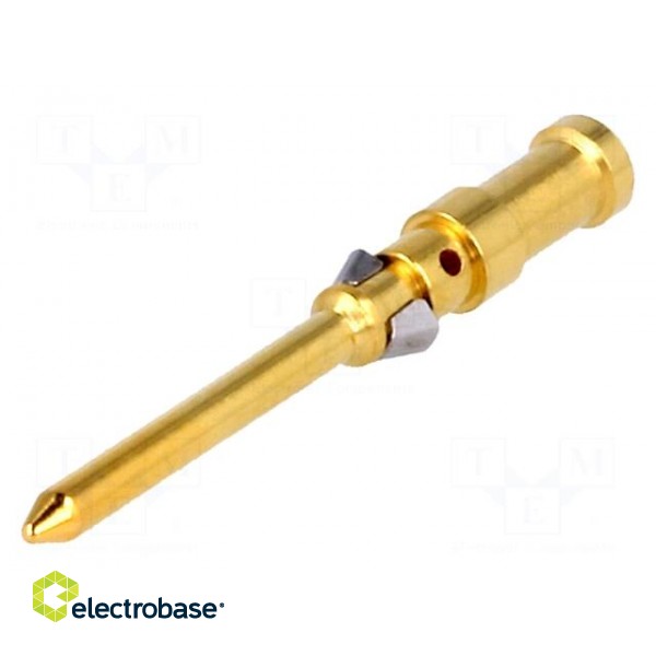 Contact | male | copper alloy | gold-plated | 0.5mm2 | 20AWG | crimped image 1