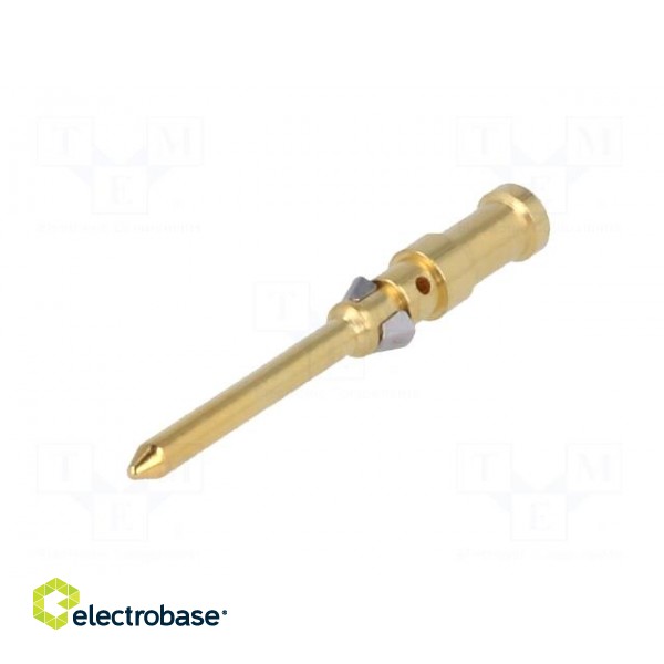 Contact | male | copper alloy | gold-plated | 0.5mm2 | 20AWG | crimped image 2