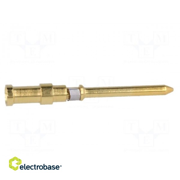 Contact | male | copper alloy | gold-plated | 0.5mm2 | 20AWG | crimped image 7