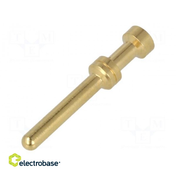 Contact | male | 1mm2 | Han E | gold-plated | crimped | 16A | copper alloy