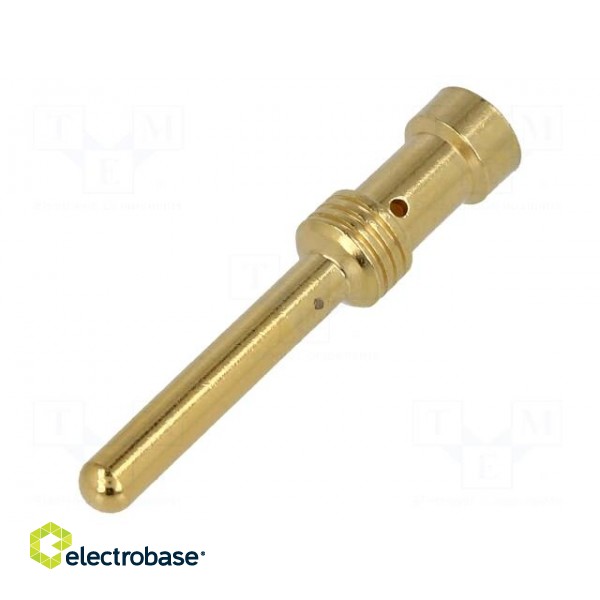 Contact | male | 2.5mm2 | Han E | gold-plated | crimped | 16A