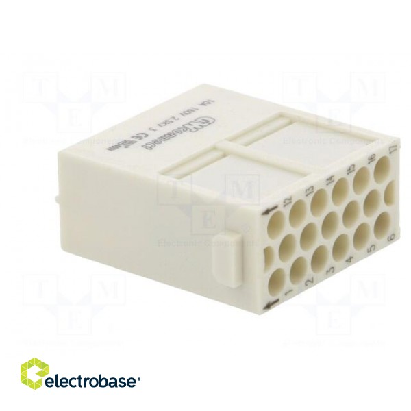 Connector: HDC | module | male | S-M10/17 | PIN: 17 | w/o contacts | 10A image 4