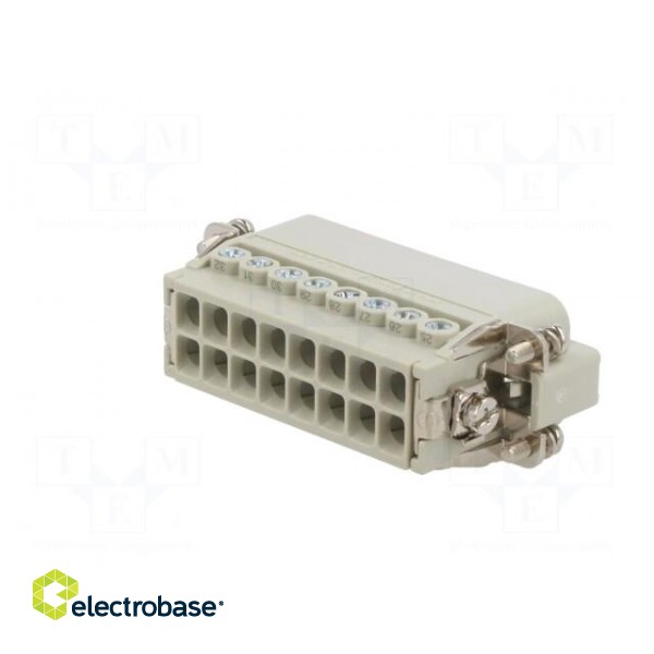 Connector: HDC | contact insert | male | CDA | PIN: 16 | 16+PE | 16A | 600V фото 6
