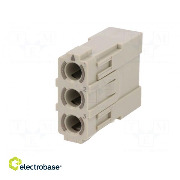 Connector: HDC | module | male | MIXO | PIN: 3 | w/o contacts | 40A | 690V image 6