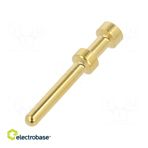 Contact | male | gold-plated | 0.5mm2 | EPIC H-BE 2.5 | crimped