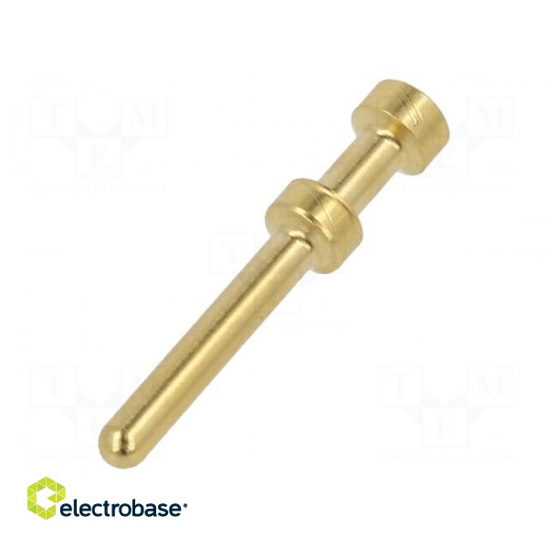 Contact | male | gold-plated | 0.75÷1mm2 | EPIC H-BE 2.5 | crimped