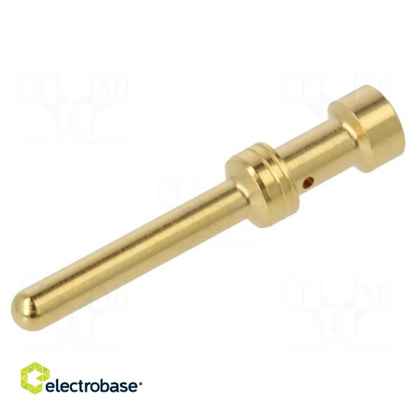 Contact | male | gold-plated | 1.5mm2 | EPIC H-BE 2.5 | crimped