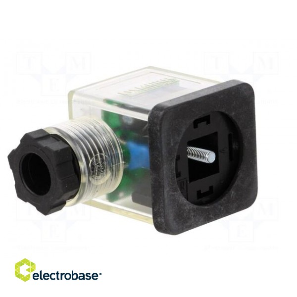 Connector: valve connector | plug | form A | 18mm | female | PIN: 3 | 110V paveikslėlis 2