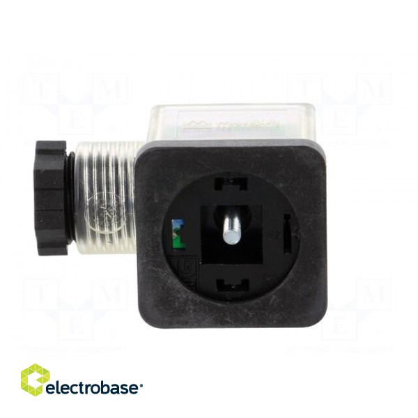 Connector: valve connector | plug | form A | 18mm | female | PIN: 3 | 110V paveikslėlis 3