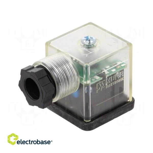 Connector: valve connector | plug | form A | 18mm | female | PIN: 3 | 110V paveikslėlis 1
