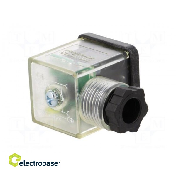 Connector: valve connector | plug | form A | 18mm | female | PIN: 3 | 110V фото 8