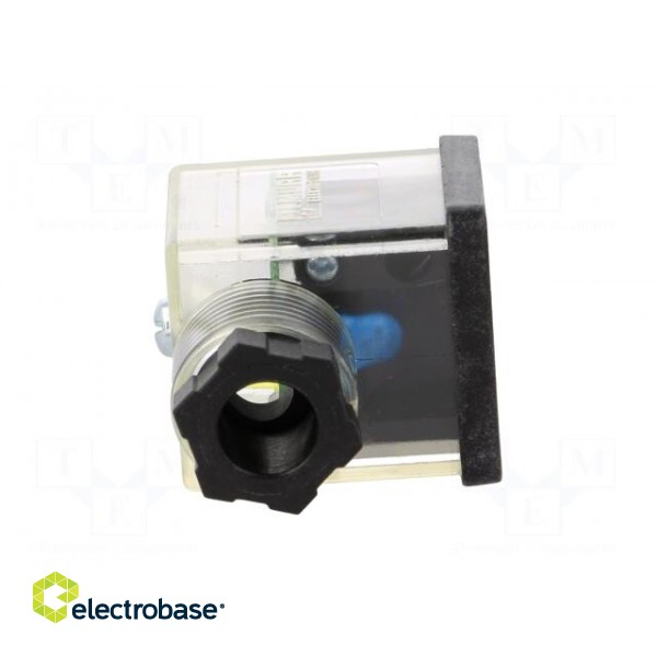 Connector: valve connector | plug | form A | 18mm | female | PIN: 3 | 110V paveikslėlis 9