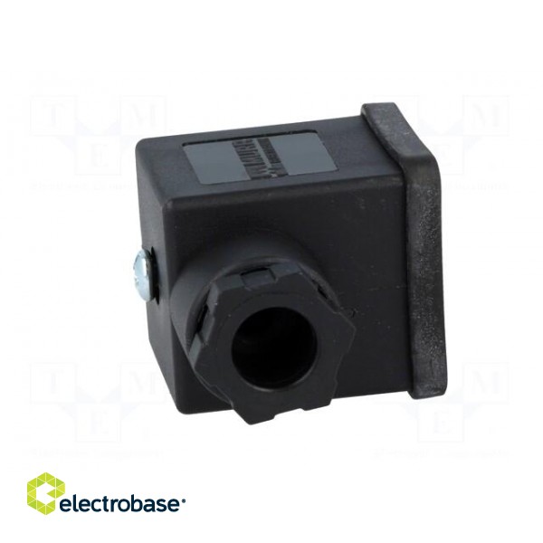 Connector: valve connector | plug | form A | 18mm | female | PIN: 3 | 230V image 9