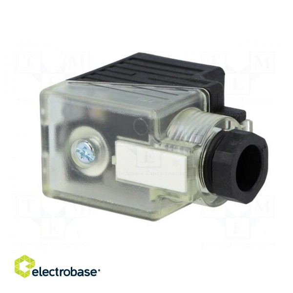 Connector: valve connector | plug | form A | 18mm | female | PIN: 3 | 24V фото 8