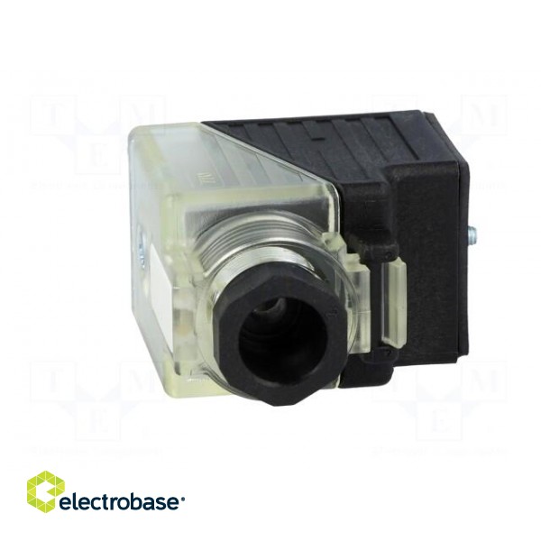 Connector: valve connector | plug | form A | 18mm | female | PIN: 3 | 24V paveikslėlis 9