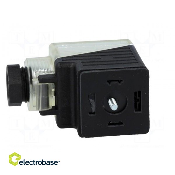 Connector: valve connector | plug | form A | 18mm | female | PIN: 3 | 24V paveikslėlis 3