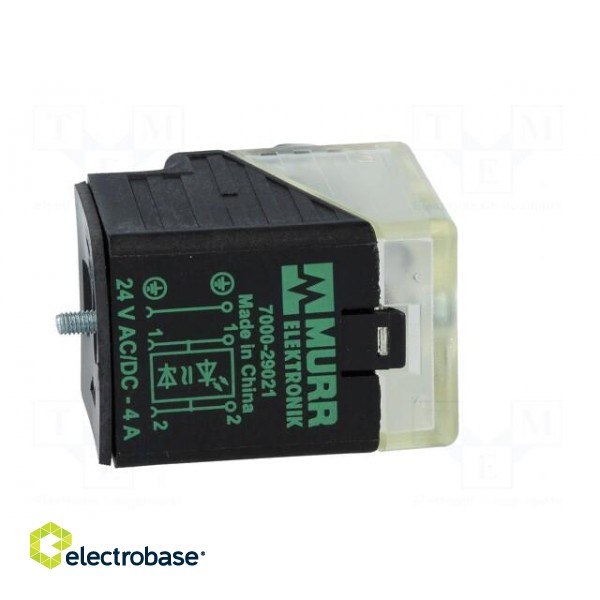 Connector: valve connector | plug | form A | 18mm | female | PIN: 3 | 24V paveikslėlis 5