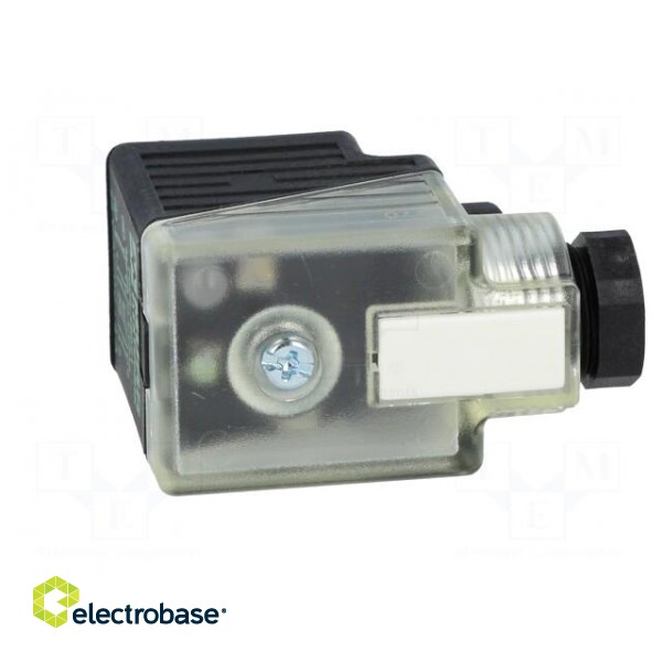 Connector: valve connector | plug | form A | 18mm | female | PIN: 3 | 24V paveikslėlis 7