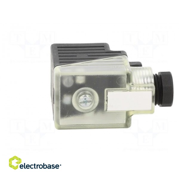 Connector: valve connector | plug | form A | 18mm | female | PIN: 3 | 2+PE фото 7