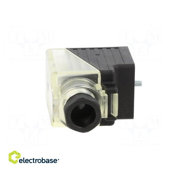 Connector: valve connector | plug | form A | 18mm | female | PIN: 3 | 2+PE фото 9