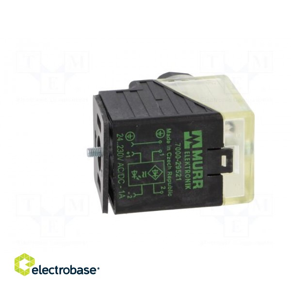 Connector: valve connector | plug | form A | 18mm | female | PIN: 3 | 2+PE paveikslėlis 5