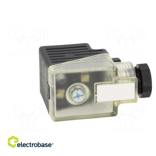 Connector: valve connector | plug | form A | 18mm | female | PIN: 3 | 2+PE image 7