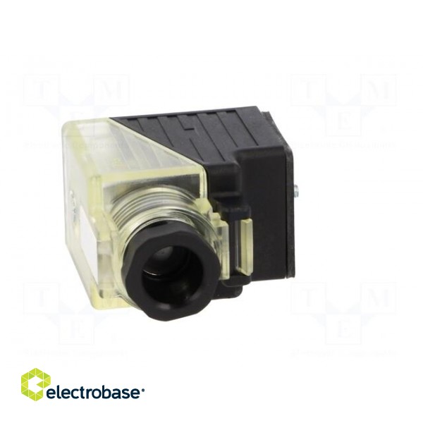 Connector: valve connector | plug | form A | 18mm | female | PIN: 3 | 2+PE paveikslėlis 9