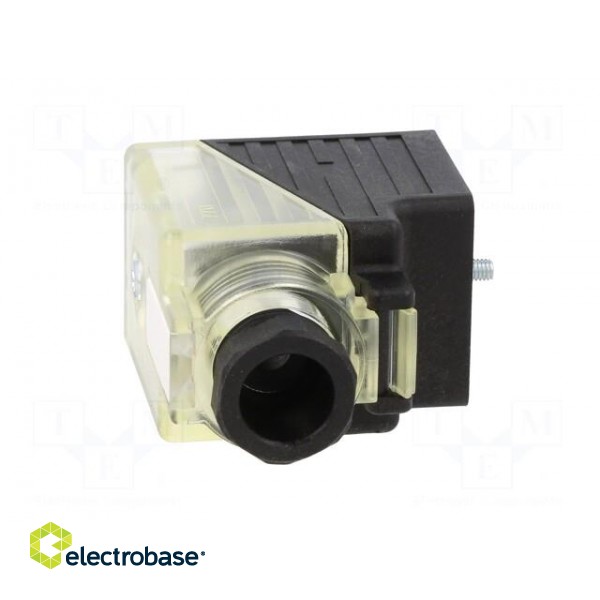 Connector: valve connector | plug | form A | 18mm | female | PIN: 3 | 2+PE image 9