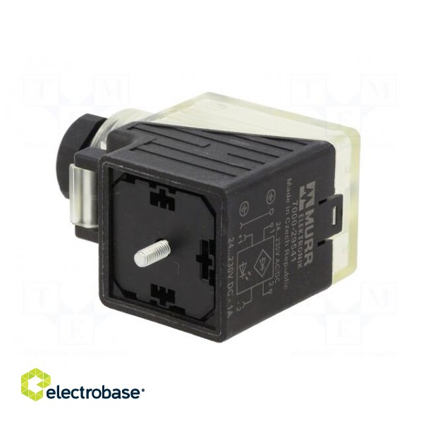 Connector: valve connector | plug | form A | 18mm | female | PIN: 3 | 2+PE image 4
