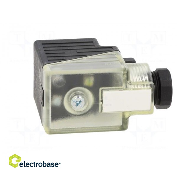 Connector: valve connector | plug | form A | 18mm | female | PIN: 3 | 2+PE image 7