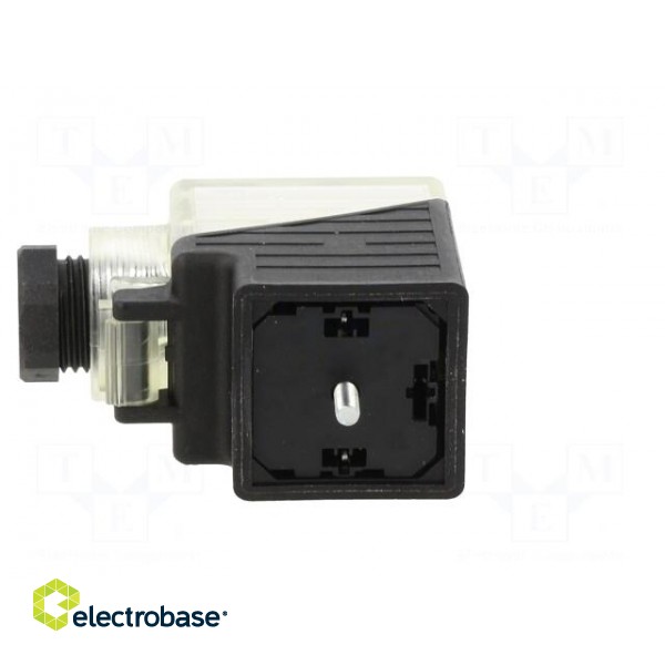 Connector: valve connector | plug | form A | 18mm | female | PIN: 3 | 2+PE фото 3
