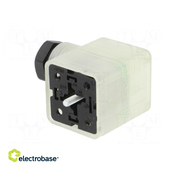 Connector: valve connector | plug | form A | 18mm | female | PIN: 3 | M16 фото 4