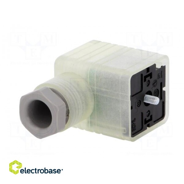 Connector: valve connector | plug | form A | 18mm | female | PIN: 3 | 8A фото 2